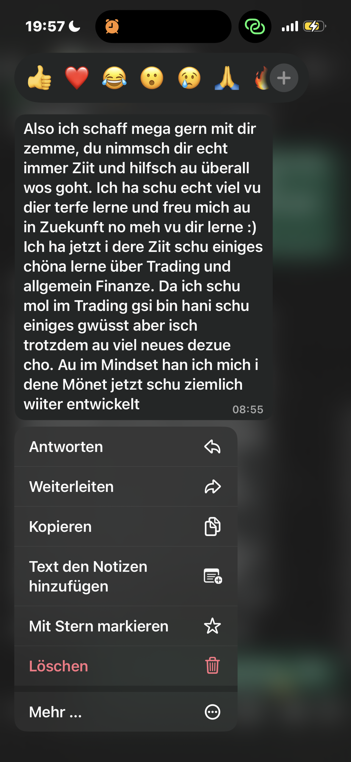 Erfahrungsbericht 3